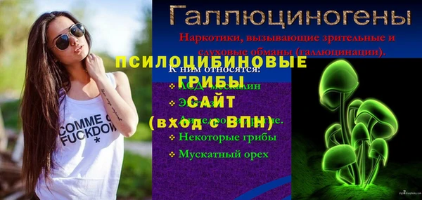 ПСИЛОЦИБИНОВЫЕ ГРИБЫ Каменск-Шахтинский