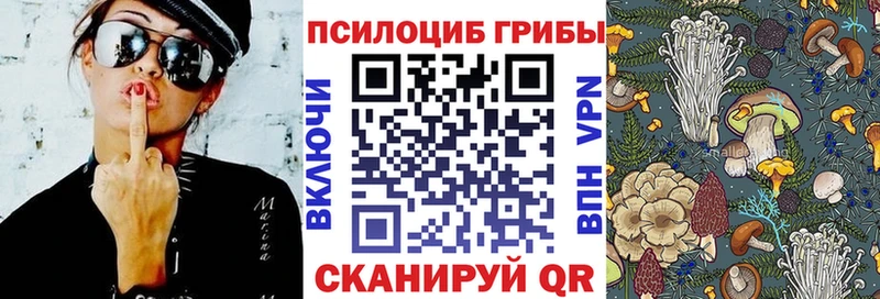 Галлюциногенные грибы Psilocybine cubensis Октябрьский